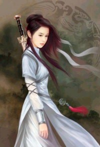 绝色王爷的傻妃苏菲菲风宸